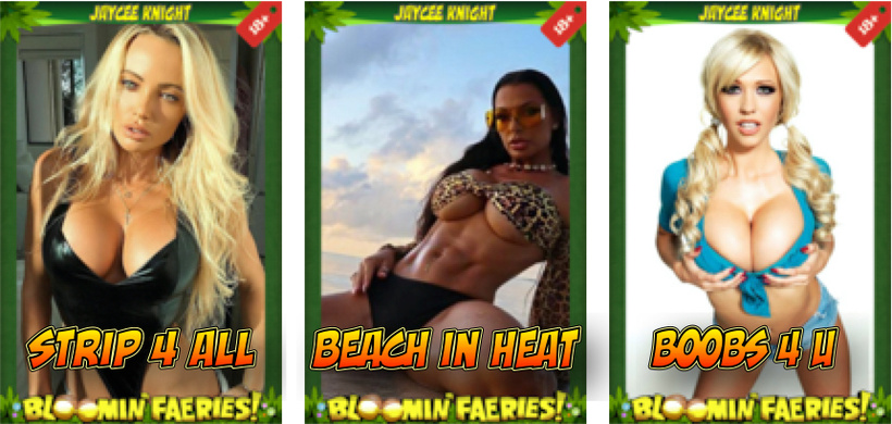 February Short Story – Poll